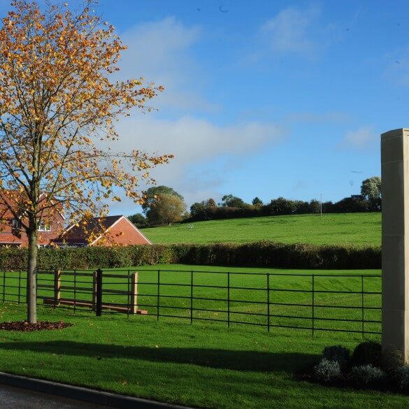 street lighting in a housing estate